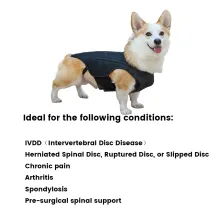 Hinged Canine Back Brace06