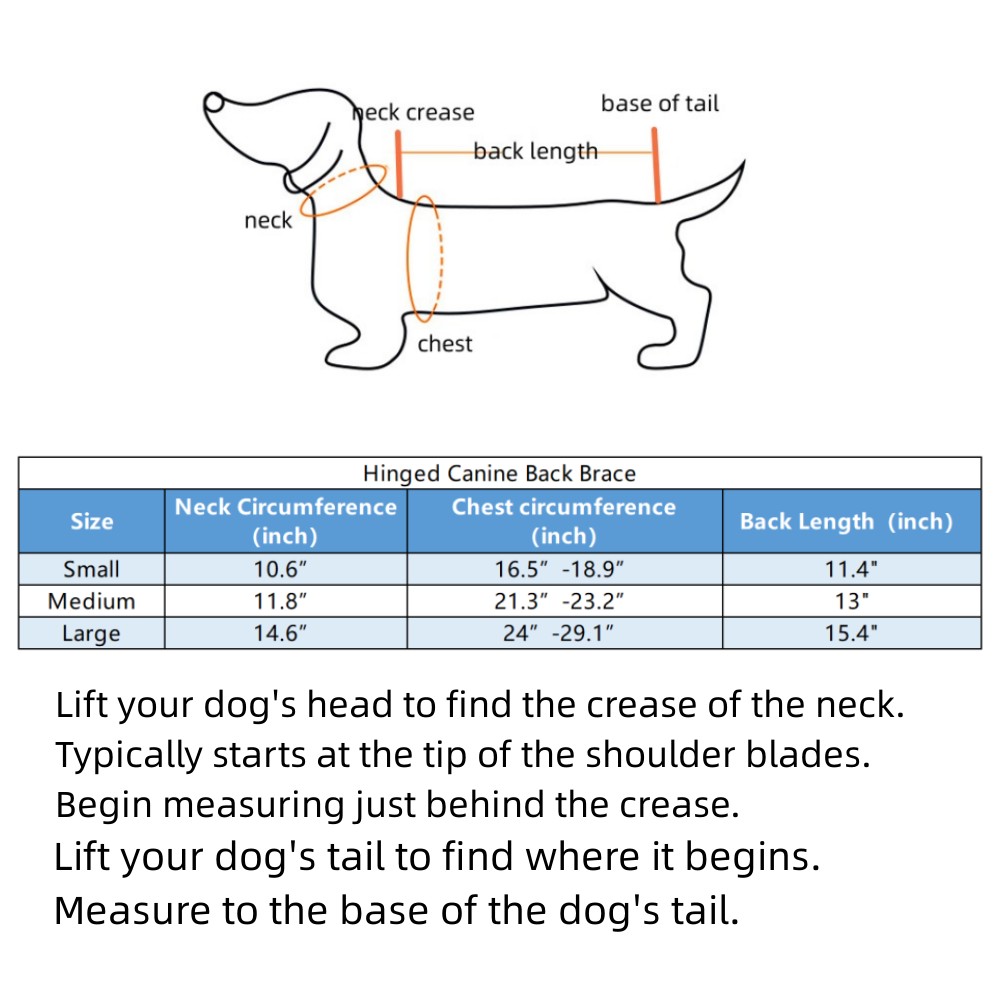 Hinged Canine Back Brace07