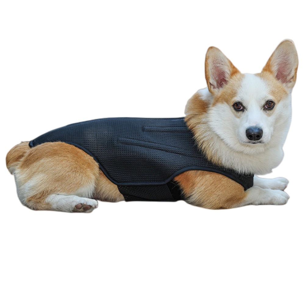 Hinged Canine Back Brace03