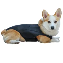 Hinged Canine Back Brace03