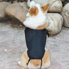 Hinged Canine Back Brace02