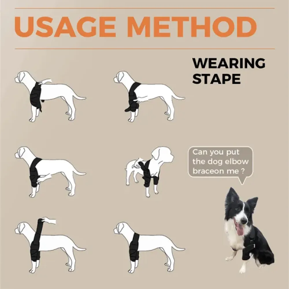 Border Collie Dog Elbow Brace02