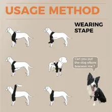 Border Collie Dog Elbow Brace02