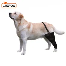 Dog Single Leg Brace01