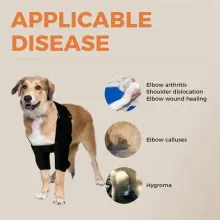 Border Collie Dog Elbow Brace01