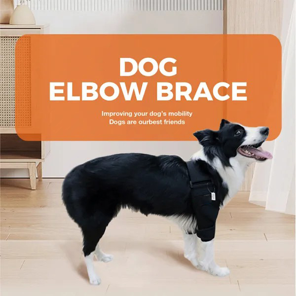 Border Collie Dog Elbow Brace04