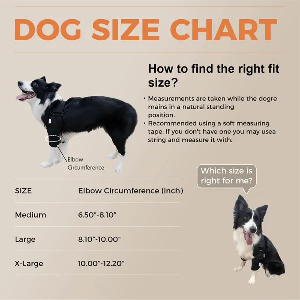 Border Collie Dog Elbow Brace03