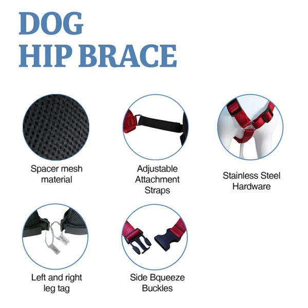 Doberman Pinscher Support Brace for Hip Dysplasia04