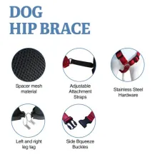 Doberman Pinscher Support Brace for Hip Dysplasia04