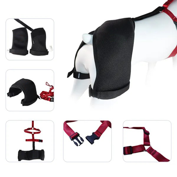 Doberman Pinscher Support Brace for Hip Dysplasia05