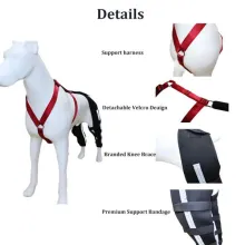 Luxating Patella Dog Knee Brace03