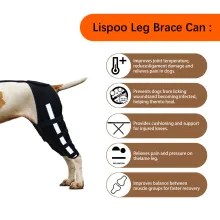 Luxating Patella Dog Knee Brace02