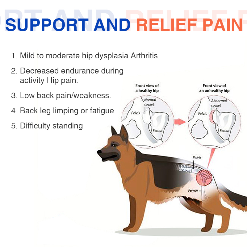 Hip Brace for Dogs with Hip Dysplasia01