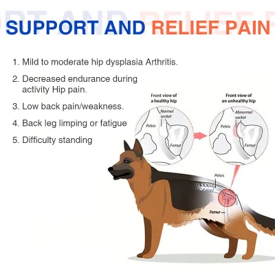 Hip Brace for Dogs with Hip Dysplasia 02