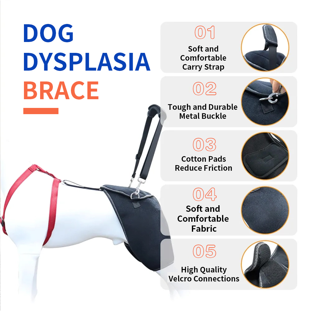Hip Brace for Dogs with Hip Dysplasia03