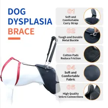 Hip Brace for Dogs with Hip Dysplasia04