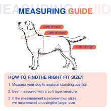 Hip Brace for Dogs with Hip Dysplasia06