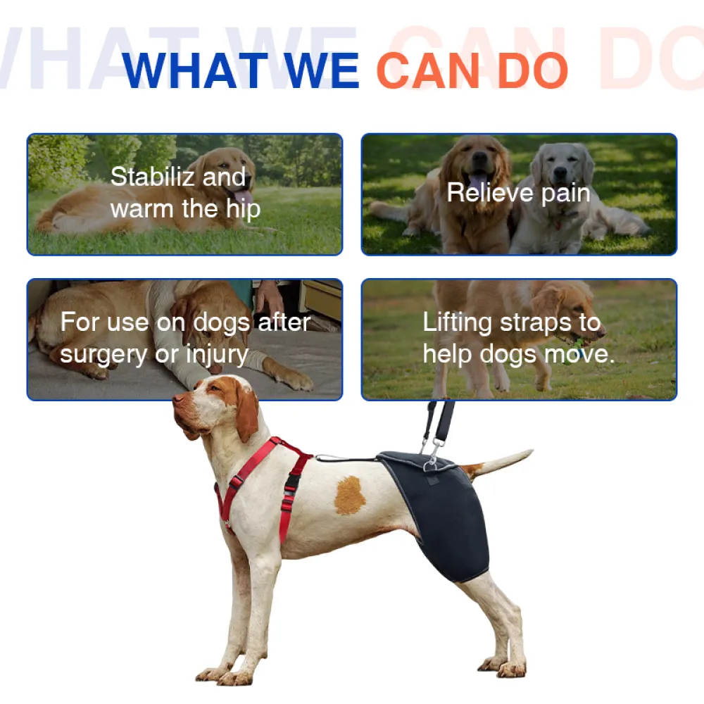 Hip Brace for Dogs with Hip Dysplasia02