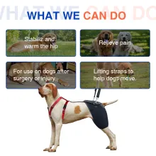 Hip Brace for Dogs with Hip Dysplasia03