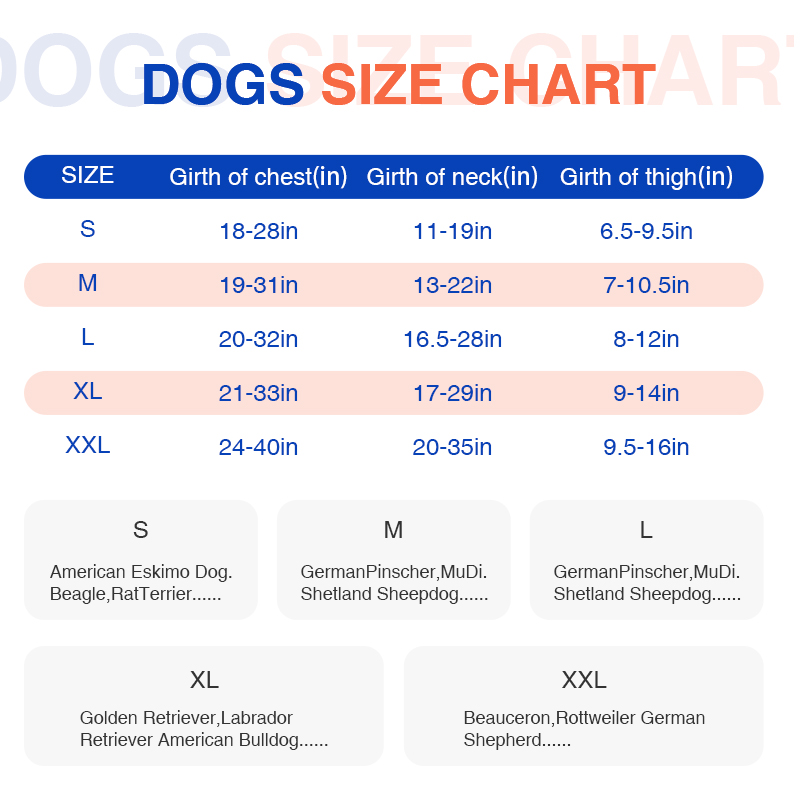 Hip Brace for Dogs with Hip Dysplasia04