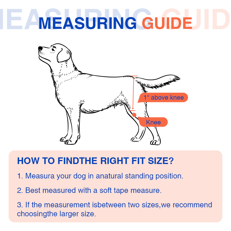  Dog Dysplasia Hip Brace With Handle05