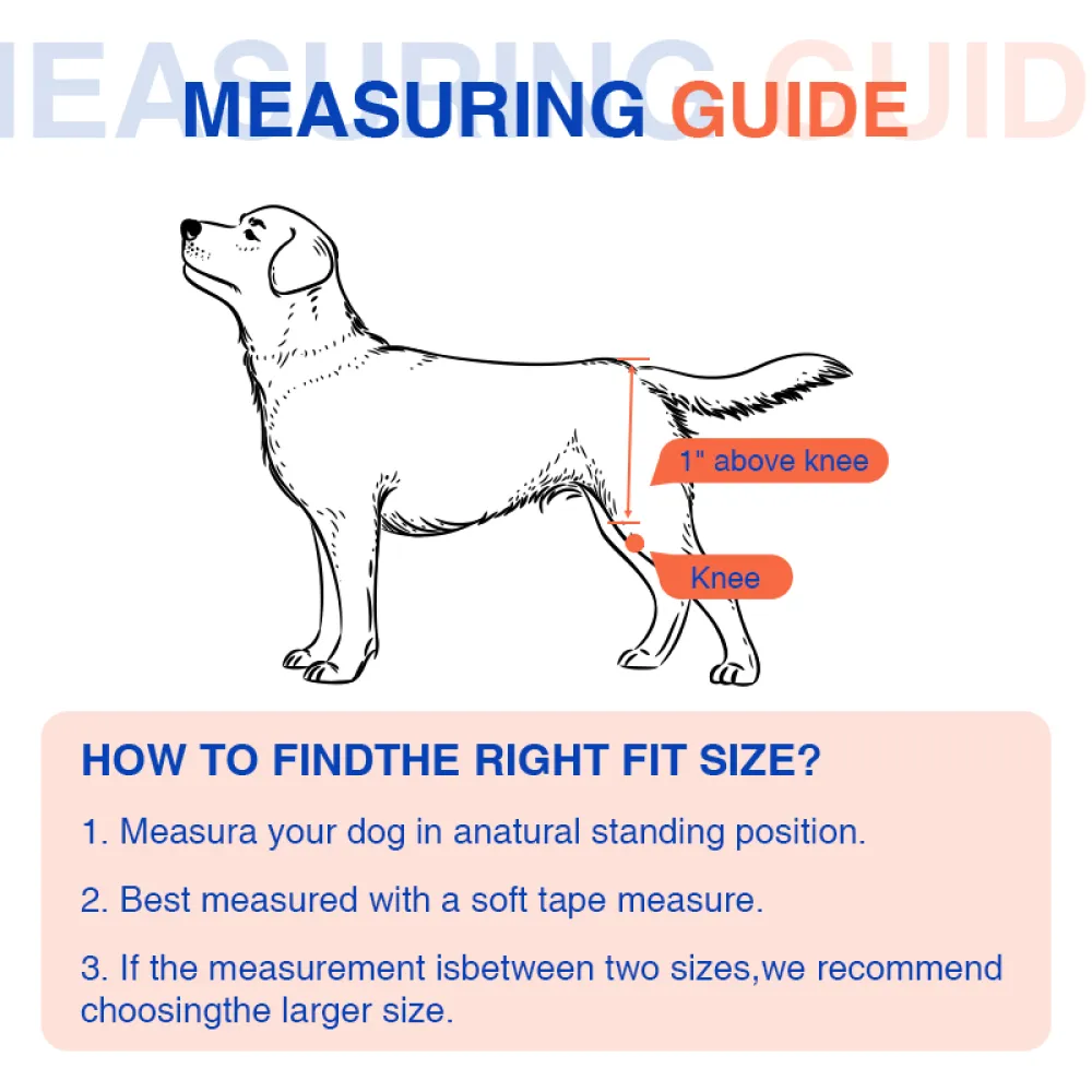  Dog Dysplasia Hip Brace With Handle05