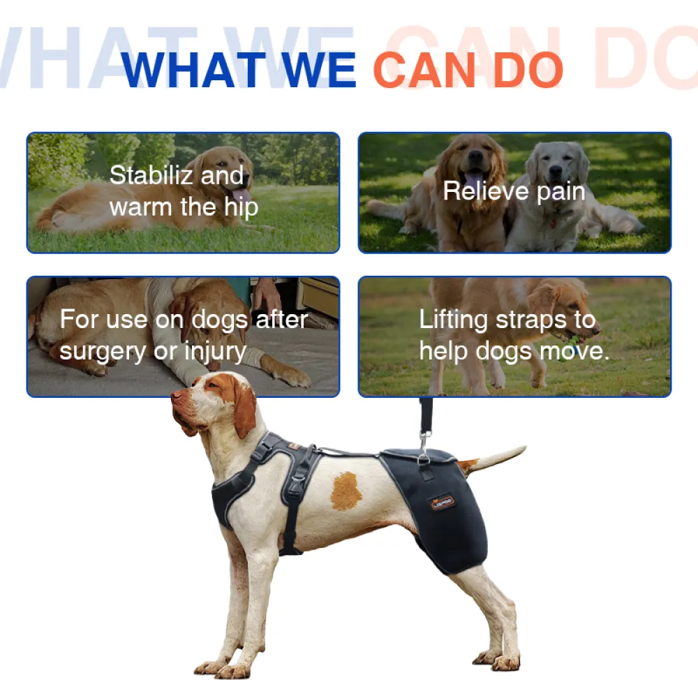  Dog Dysplasia Hip Brace With Handle02