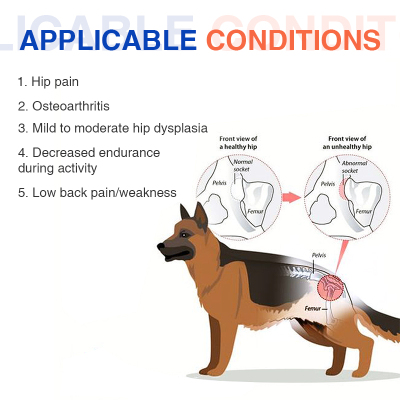  Dog Dysplasia Hip Brace With Handle 02