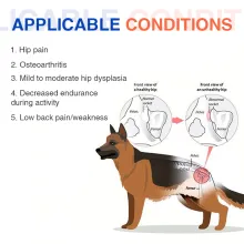  Dog Dysplasia Hip Brace With Handle01