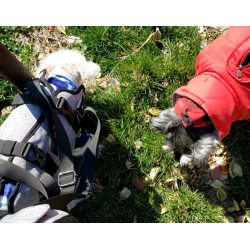 Oxford Full Body Lifting Harness for Dogs review salana 02