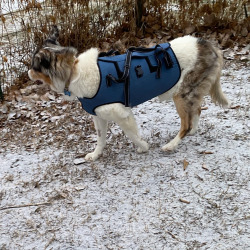 Dog Lift Harness Full Body Support review offor