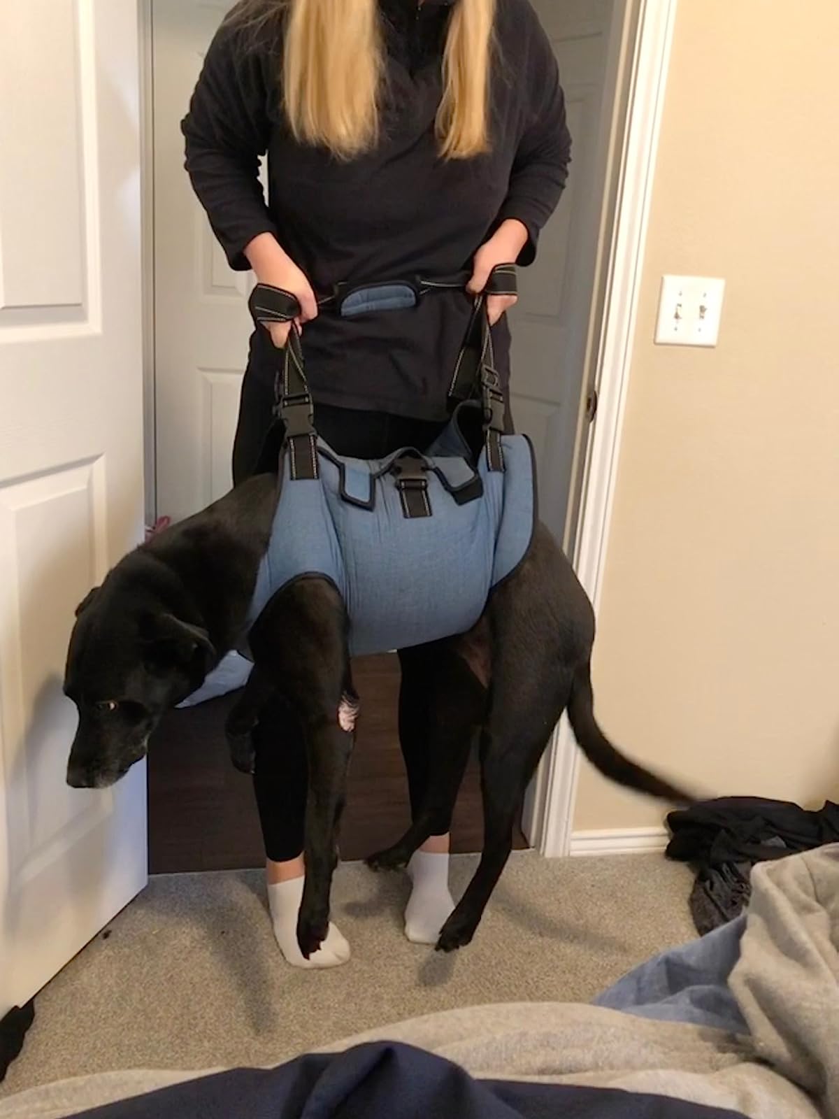 Dog Lift Harness Full Body Support review macow