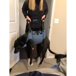 Dog Lift Harness Full Body Support review macow