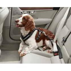 Dog Support Harness for Front Leg review Sanchez