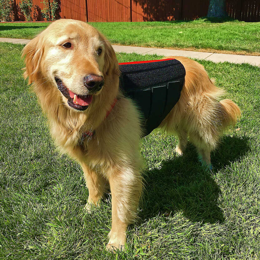Dog Lift Harness Full Body Support review Stacie
