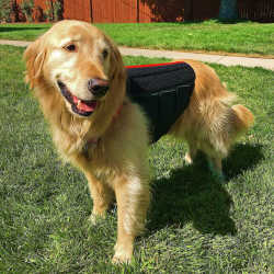 Dog Lift Harness Full Body Support review Stacie