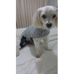 Luxating Patella Dog Knee Brace review Kerria