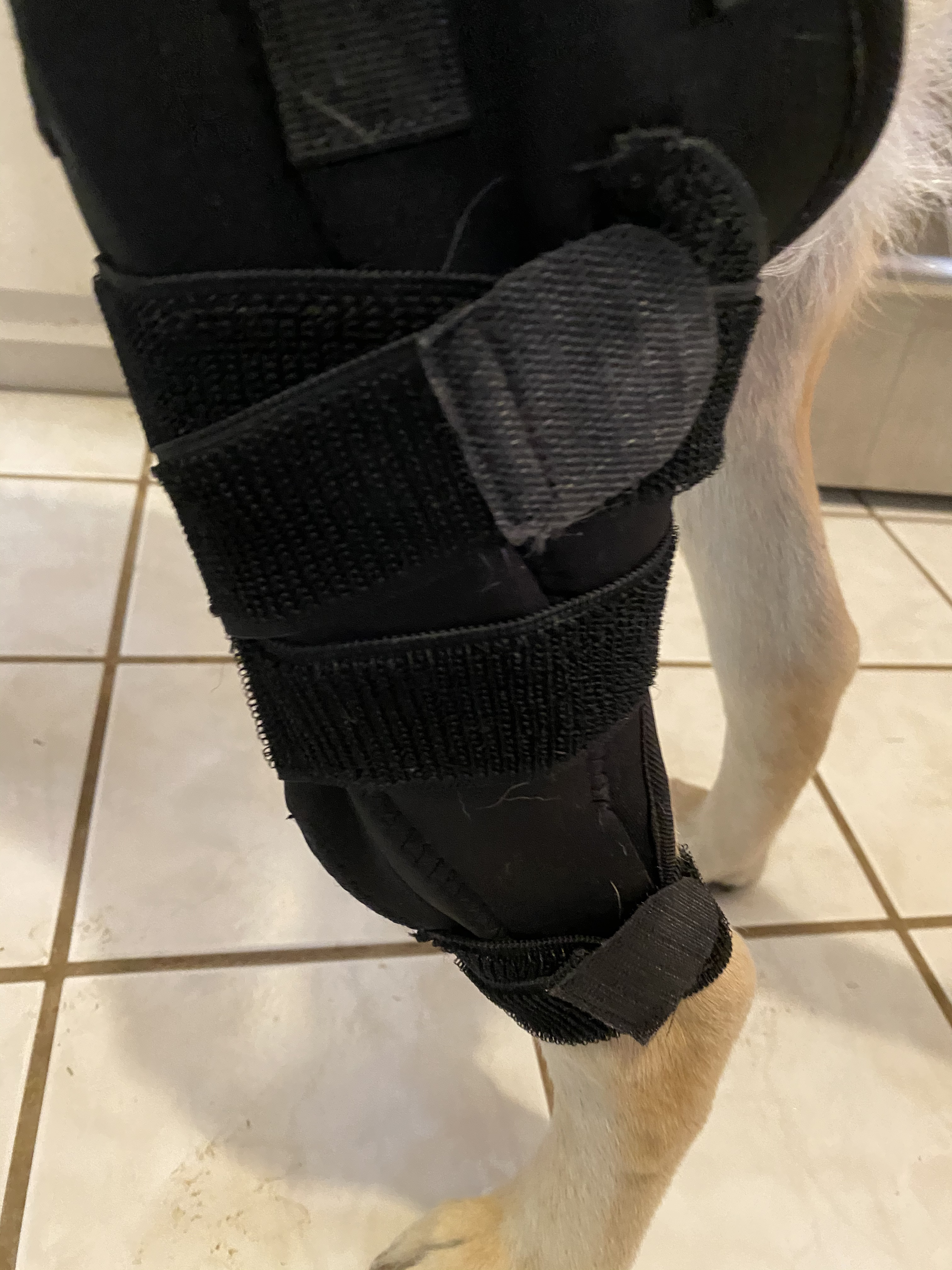 Metal Splint Hinge Dod Knee Brace for ACL review K. McCarthy