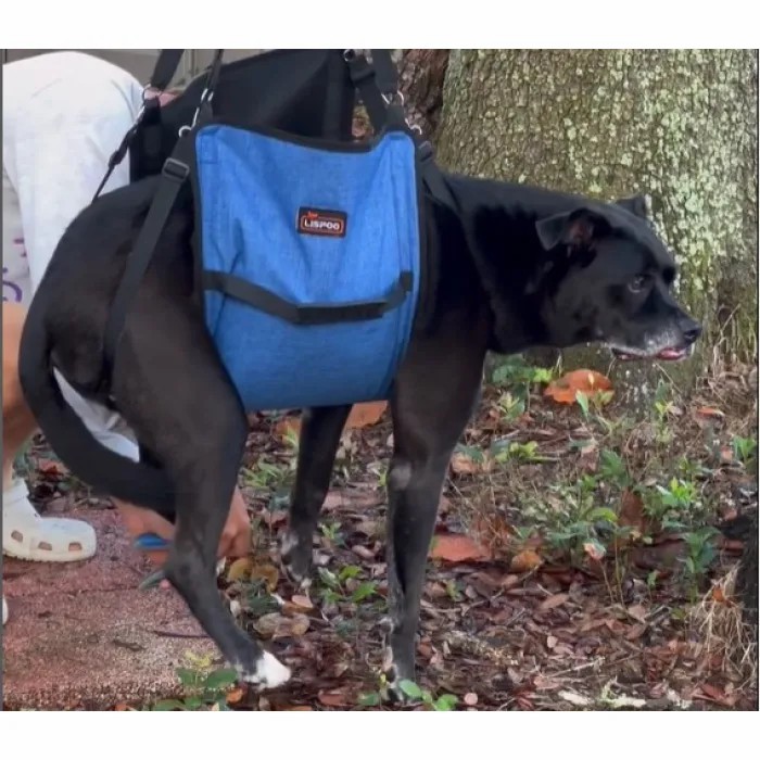  Dog Full Body Lifting Harnesses review Roben
