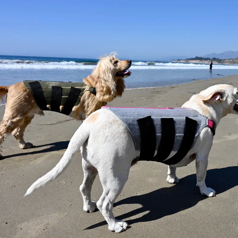 Canine ComfortGuard: Supportive Dog Brace Harness for Mobility and Stability