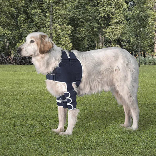 From Frustration to Fun: How My Pet Harness Improved Walks with My Fur Baby