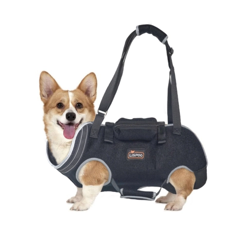 What are common injuries to dogs and recommended protective gear?