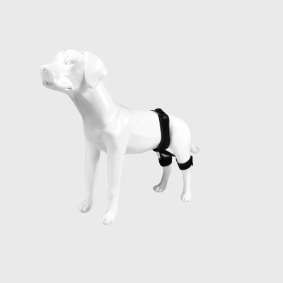Hip Dysplasia Brace for Dogs 01