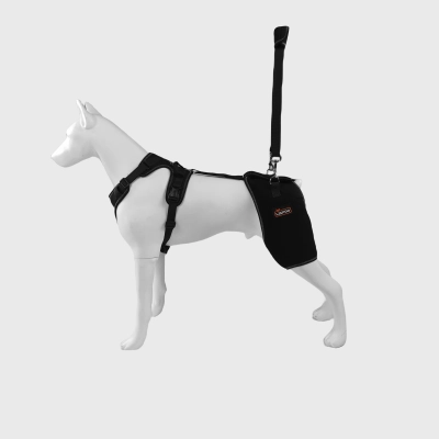 Hip Brace for Dogs with Dysplasia 01