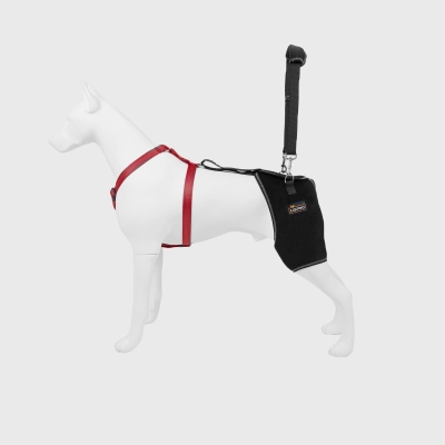 Dog Leg Braces for Hip Dysplasia 01