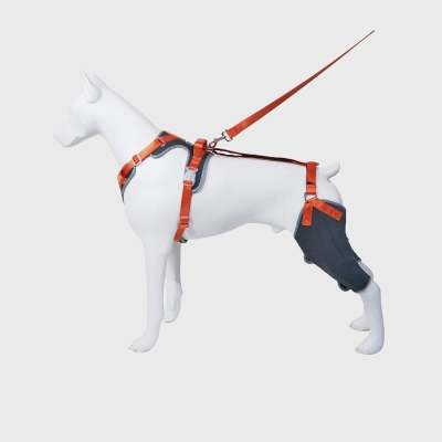 Leg Brace for Dog ACL Injury Grey 01