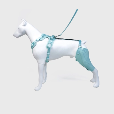 Leg Brace for Dog ACL Injury Green 01