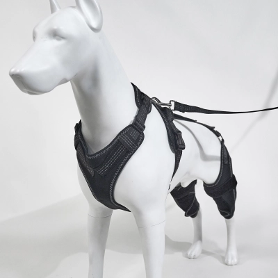 Brace for Dog with Torn ACL 02