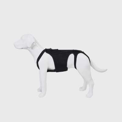 Dog Back Brace for IVDD 01