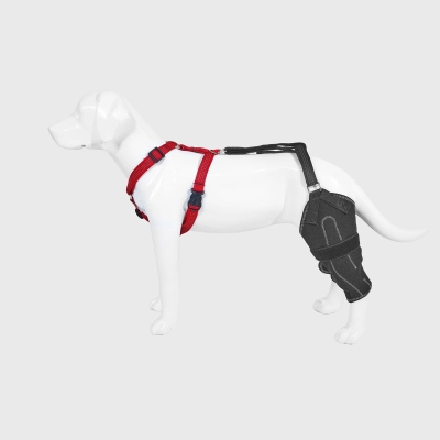 Dog Anterior Cruciate Ligament Brace 01